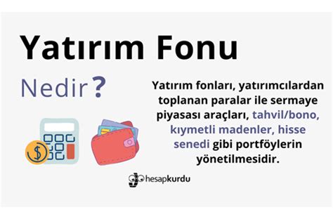 Yatırım Fonu Nedir? Nasıl Kullanılır?