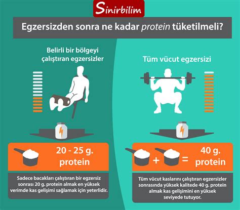 Egzersiz Sonrası Protein ve Karbonhidrat İhtiyacı